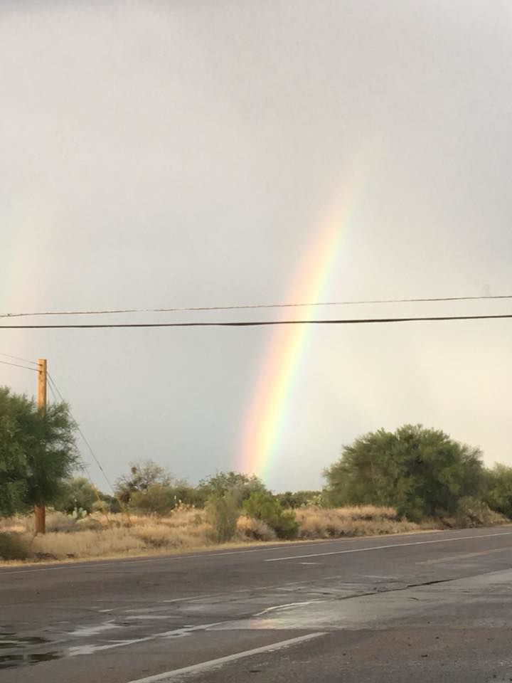 Reader monsoon photos